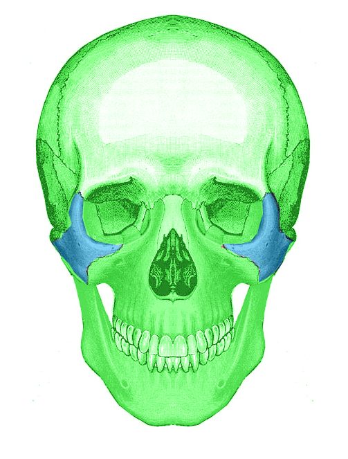 <p>Zygomatic Bones. Zygomatic bones are also known as zyogoma bones, cheekbones, or malar bones.</p>