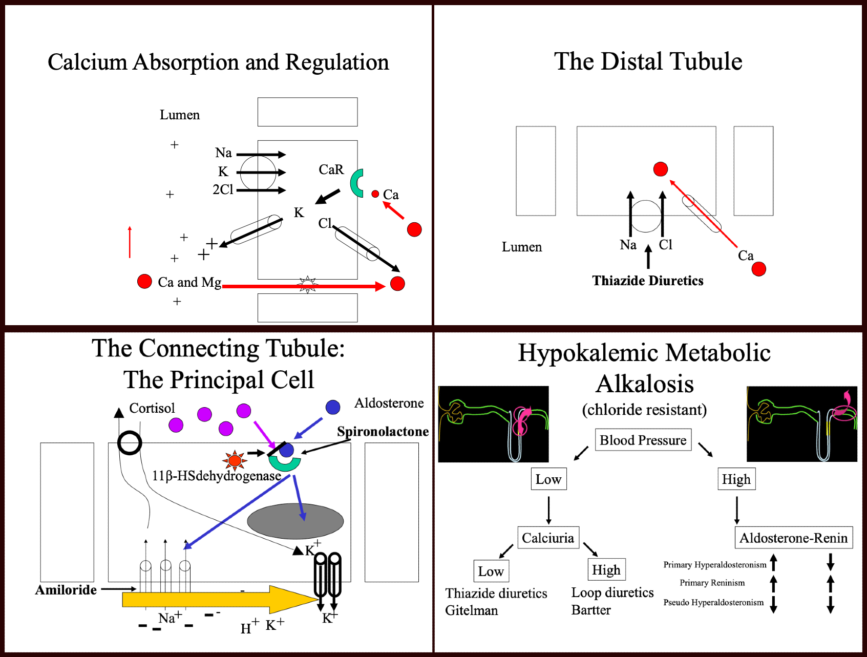 Hypochloremic Diagram
Diagram 1 (Top Left) 
Diagram 2 (Top Right)
Diagram 3 (Bottom Left) 
Diagram 4 (Bottom Right)