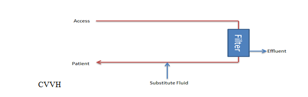 <p>Continuous Venovenous Hemofiltration Circuit