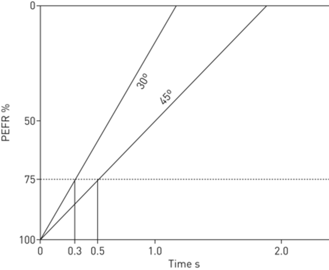 <p>Peak Expiratory Flow Rate Curve Illustration