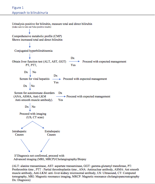 Evaluation of bilirubinuria (updated)