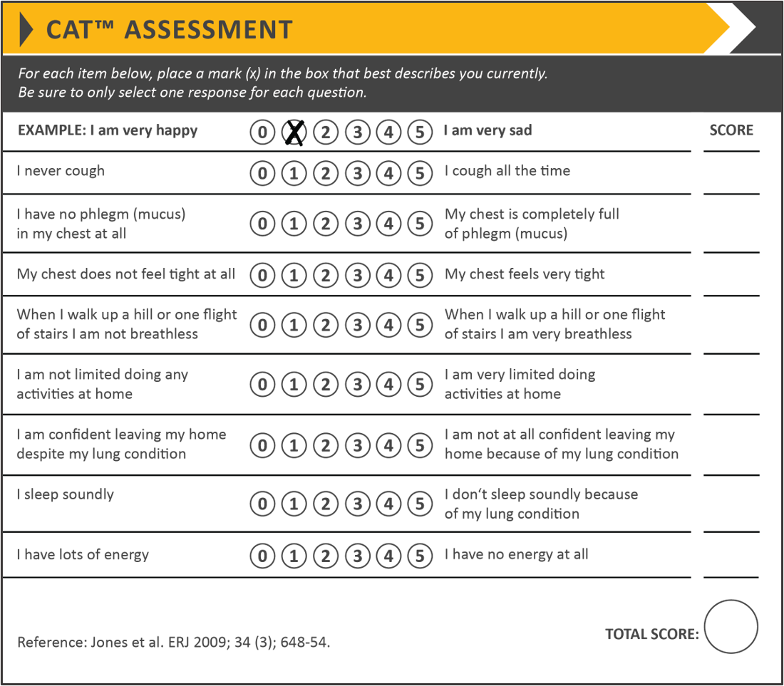 Table 2. COPD Assessment Test (CAT)