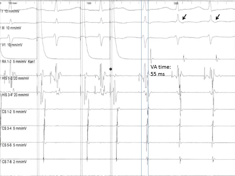 <p>Figure 5