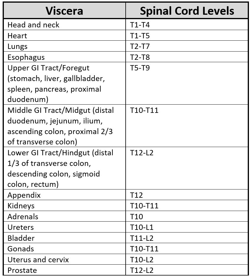 Sympathetic Nervous System Innervation of Visceral Structures