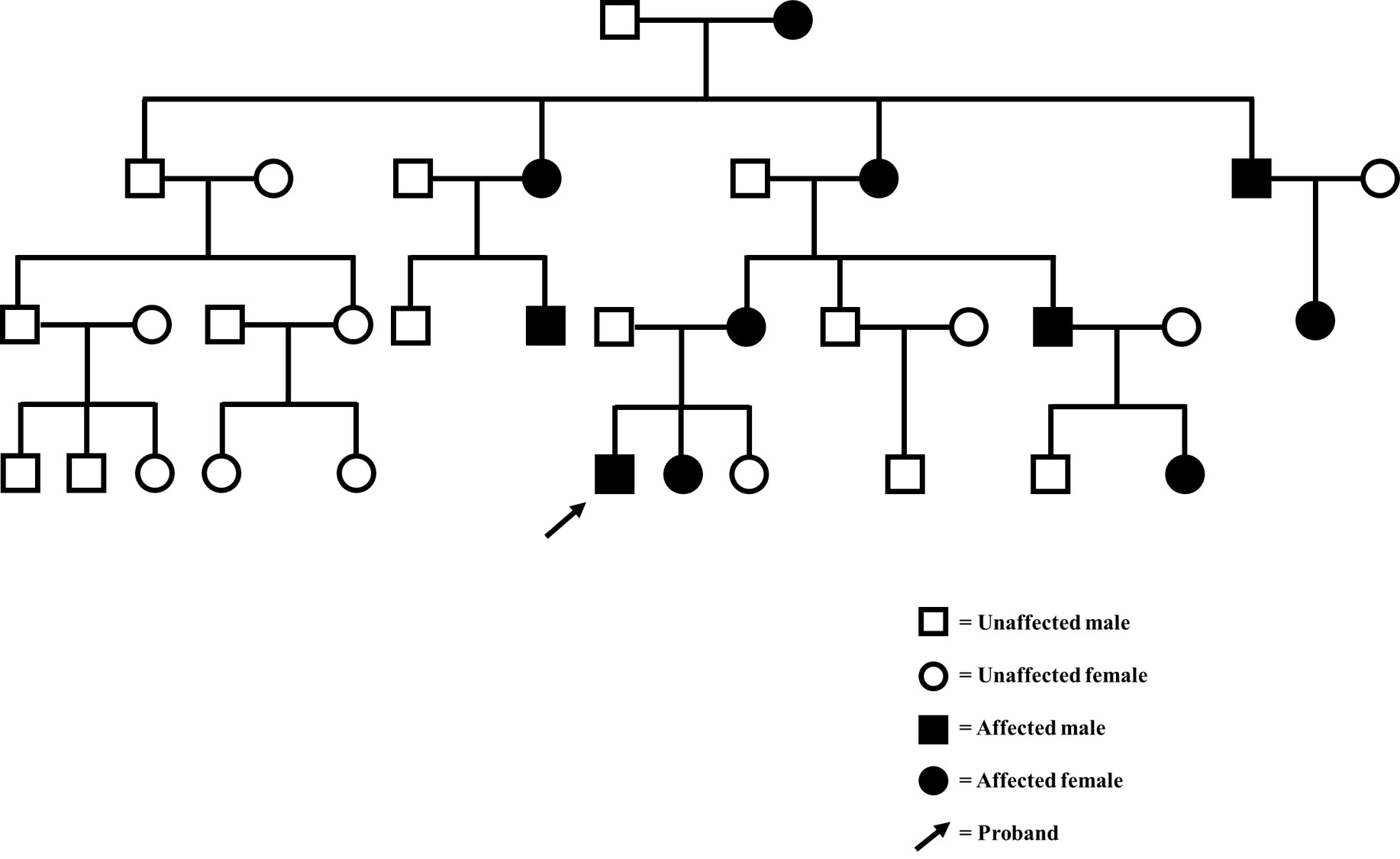 A 28-year-old gentleman presented with inability to walk fast