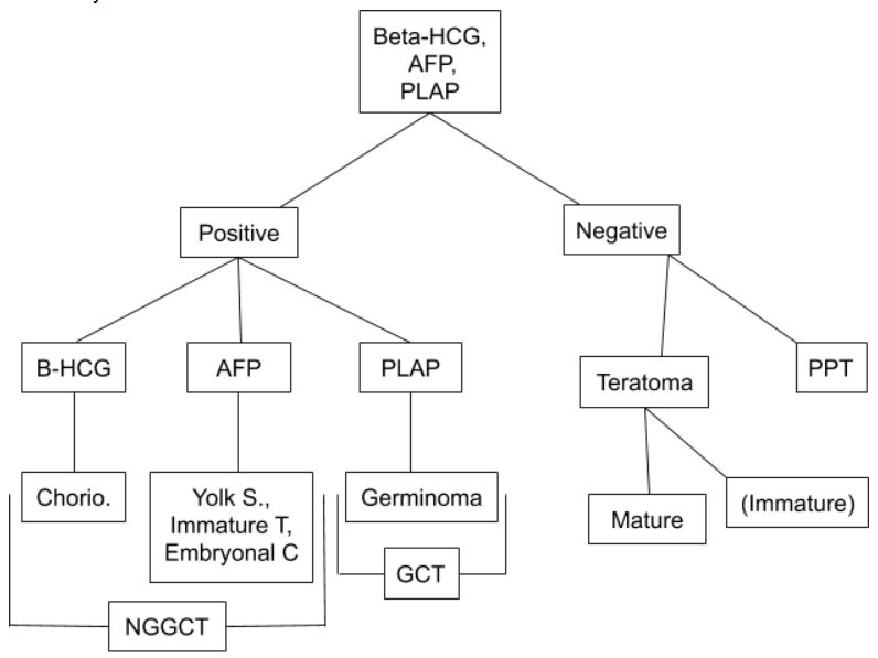 Differential diagnosis based on cerebrospinal fluid (CSF) tumor markers