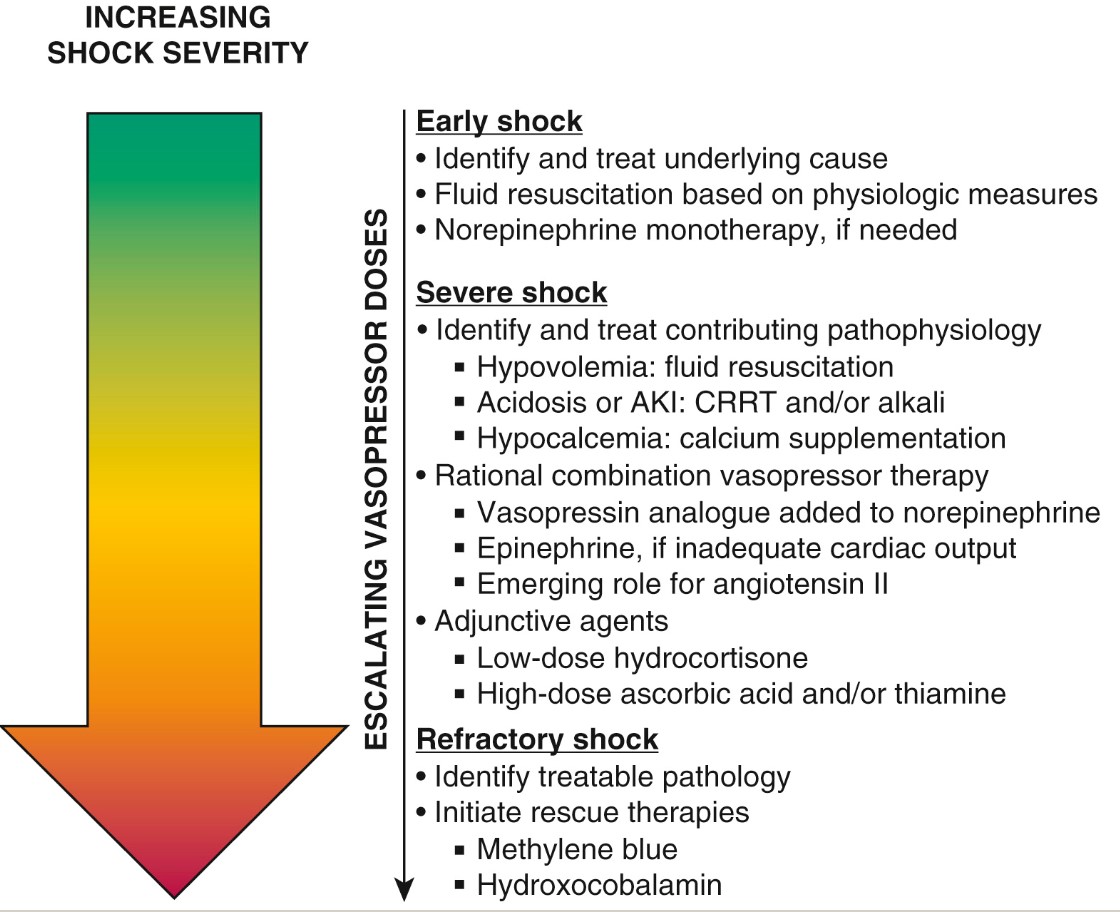 Treatment algorithm for management of vasodilatory shock