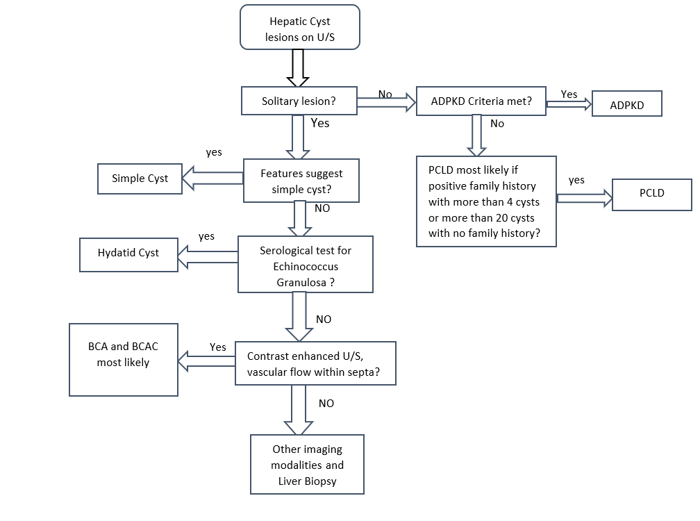 Diagnosis of hepatic cystic lesions after detection on ultrasonography.