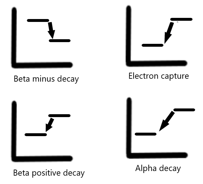 <p>Types of Decay When Plotted on a Graph