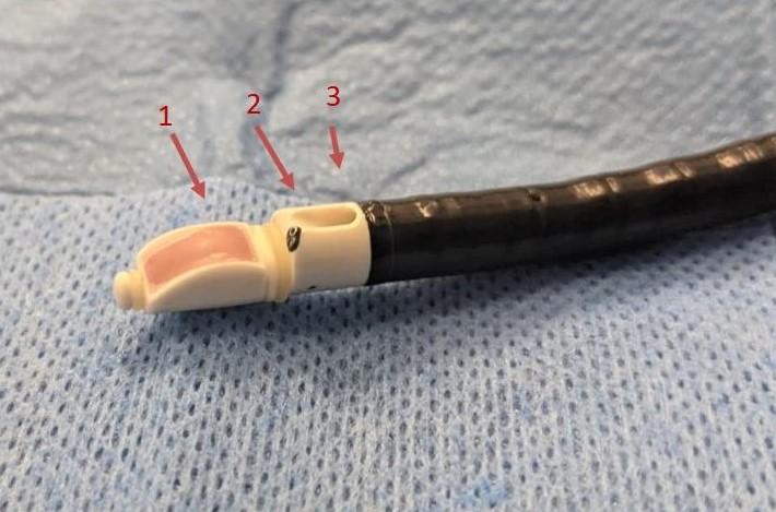 <p>Convex Endobronchial Ultrasound Scope