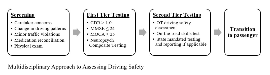 <p>Driving Screening Flowchart</p>