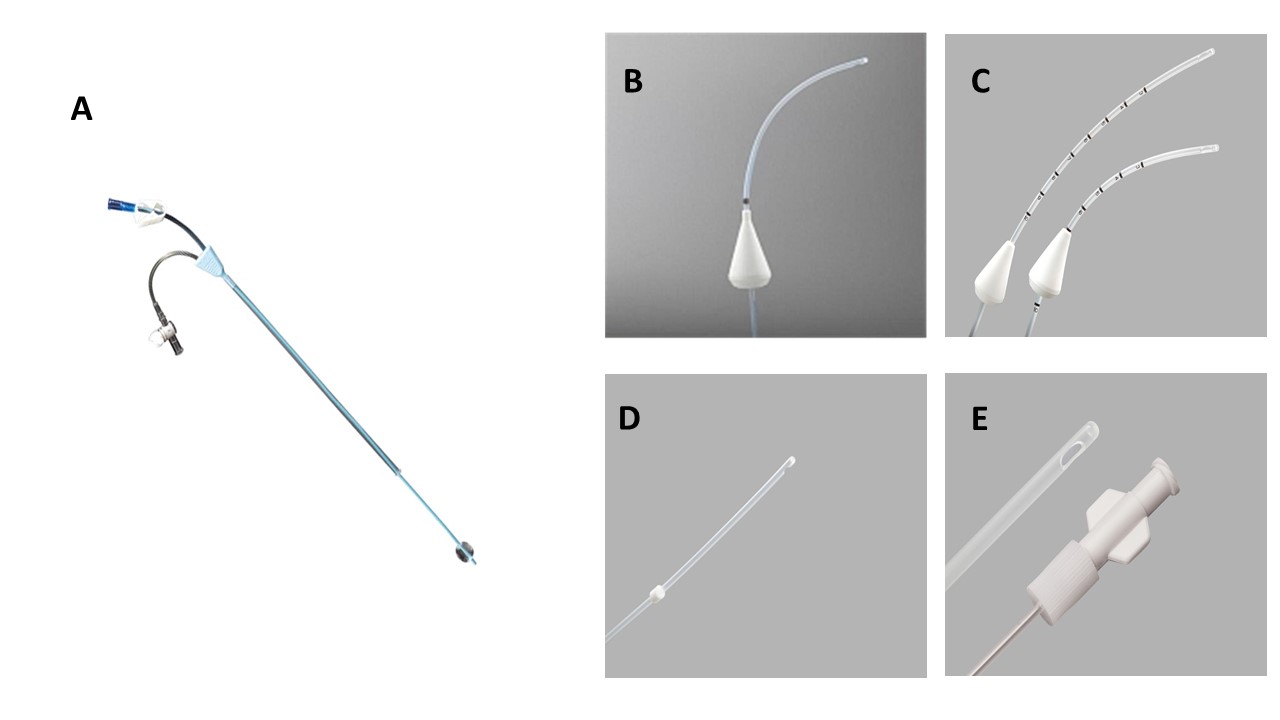 Figure 7: Different types of Catheters used for Saline infusion sonogram (SIS)