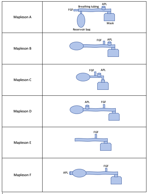 <p>Mapleson Circuits</p>