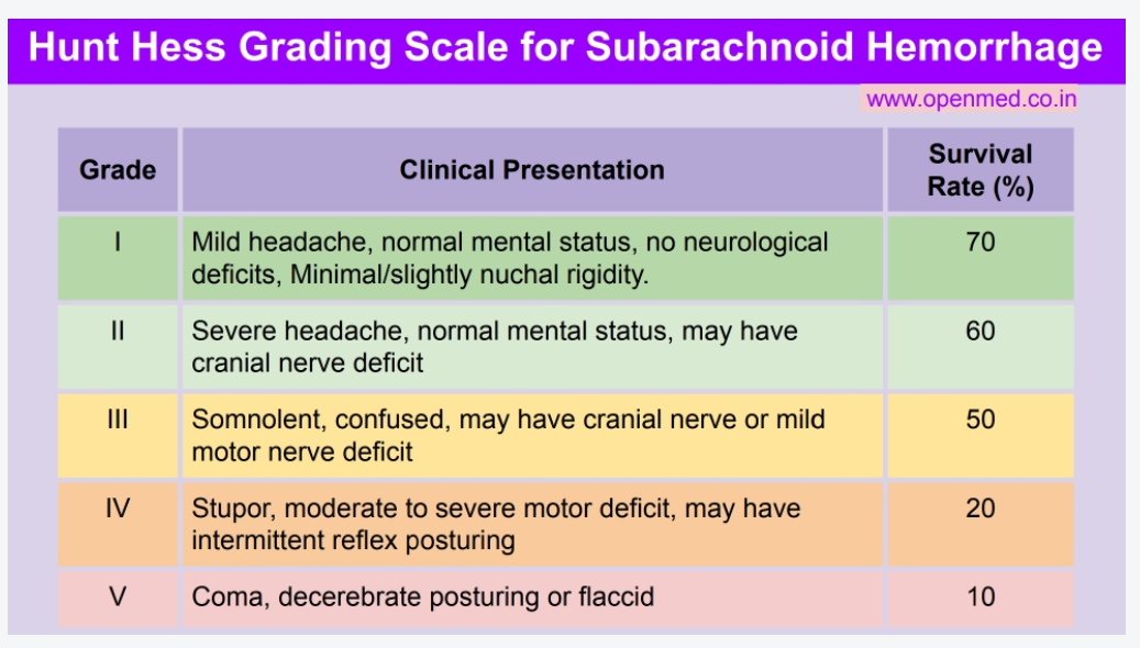 <p>Hunt and Hess Grading Scale</p>