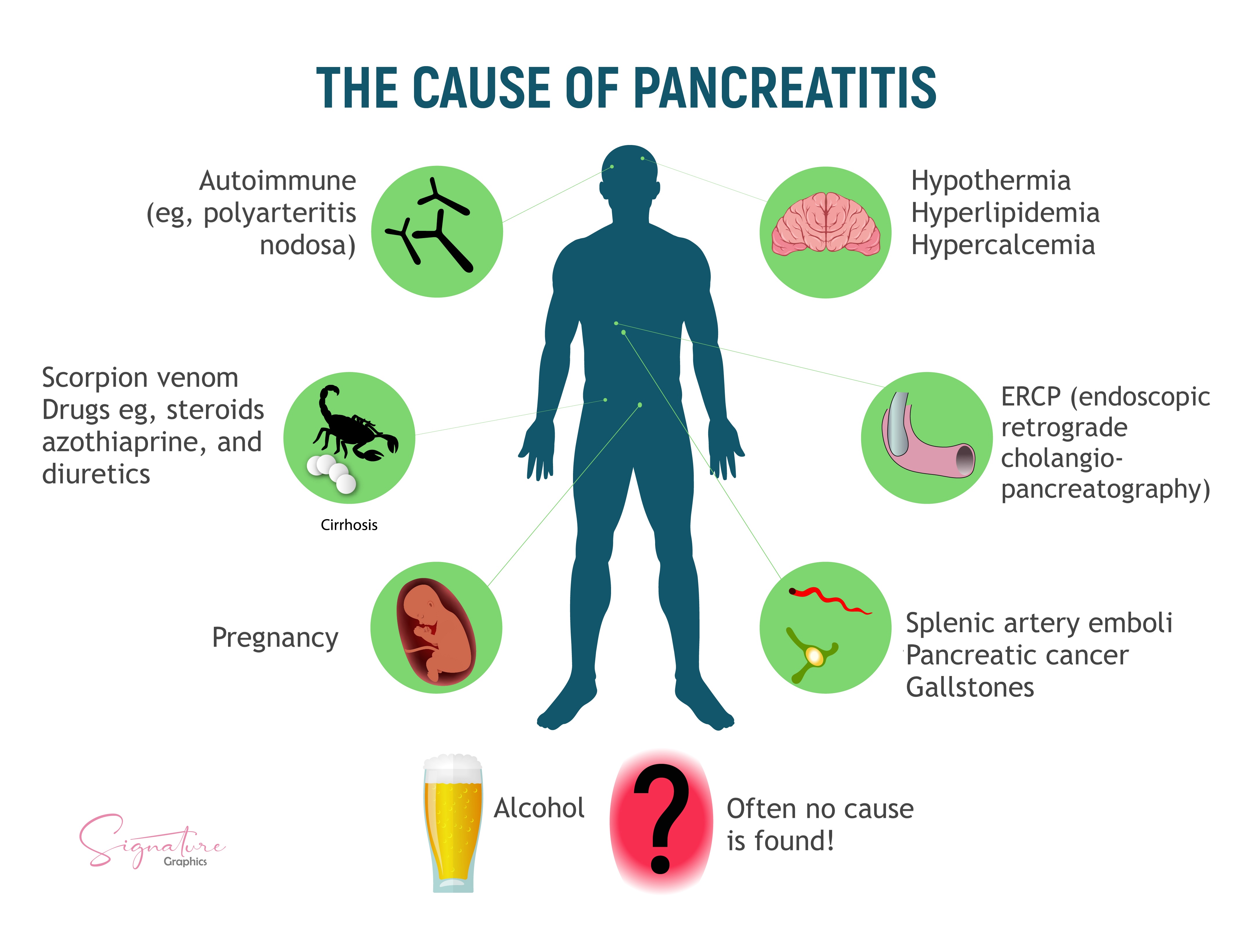 <p>Causes of Pancreatitis. This is a graphic illustration of some of the causes of acute pancreatitis.</p>