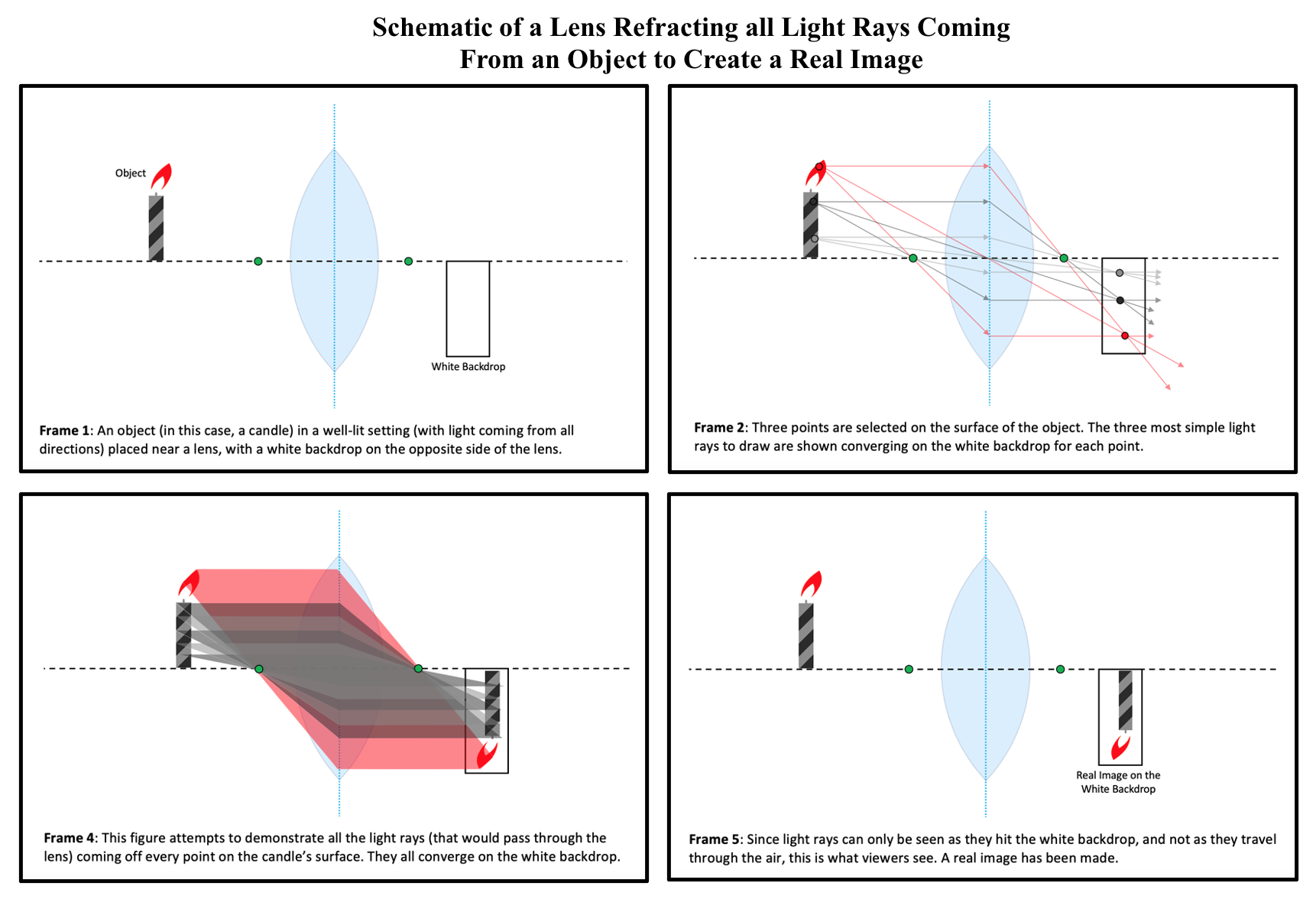 Figure 4: Schematic a lens refracting all light rays coming from an object to create a real image