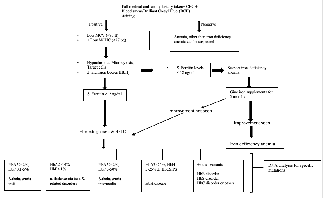 A flow chart for laboratory evaluation and diagnosis of thalassemias and their differentiation from iron deficiency anemia.