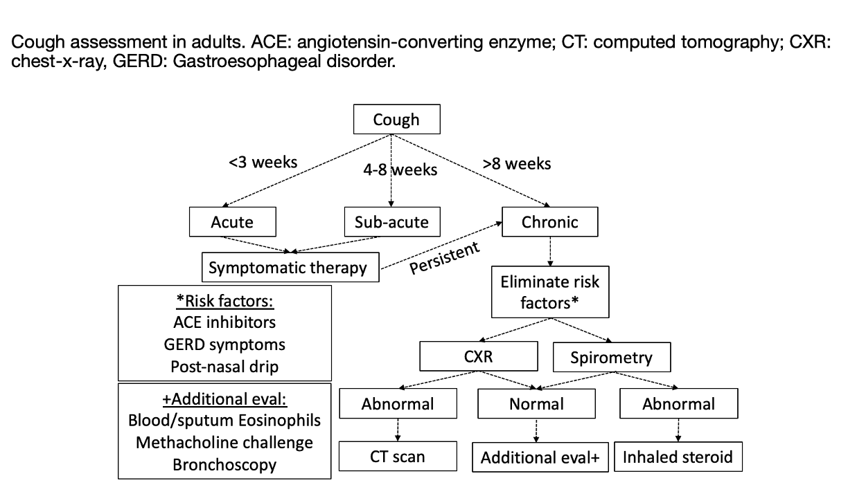 <p>Assessment of Cough in Adults