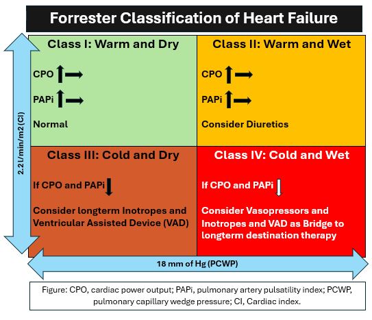 <p>Forrester Classification and Management of Heart Failure</p>