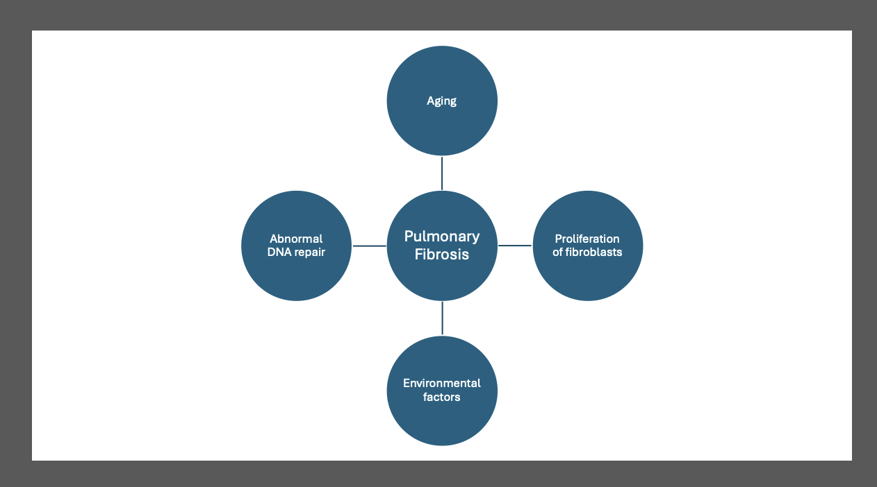 <p>Putative Mechanisms of IPF