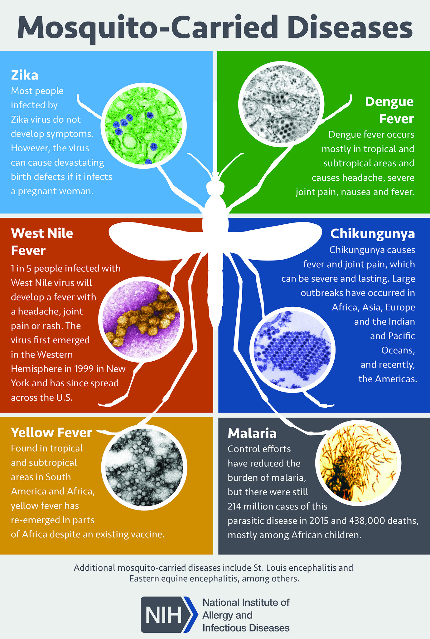 Mosquito carried diseases, Zika virus, Dengue fever, West Nile Fever, Chikungunya, Yellow Fever, Malaria