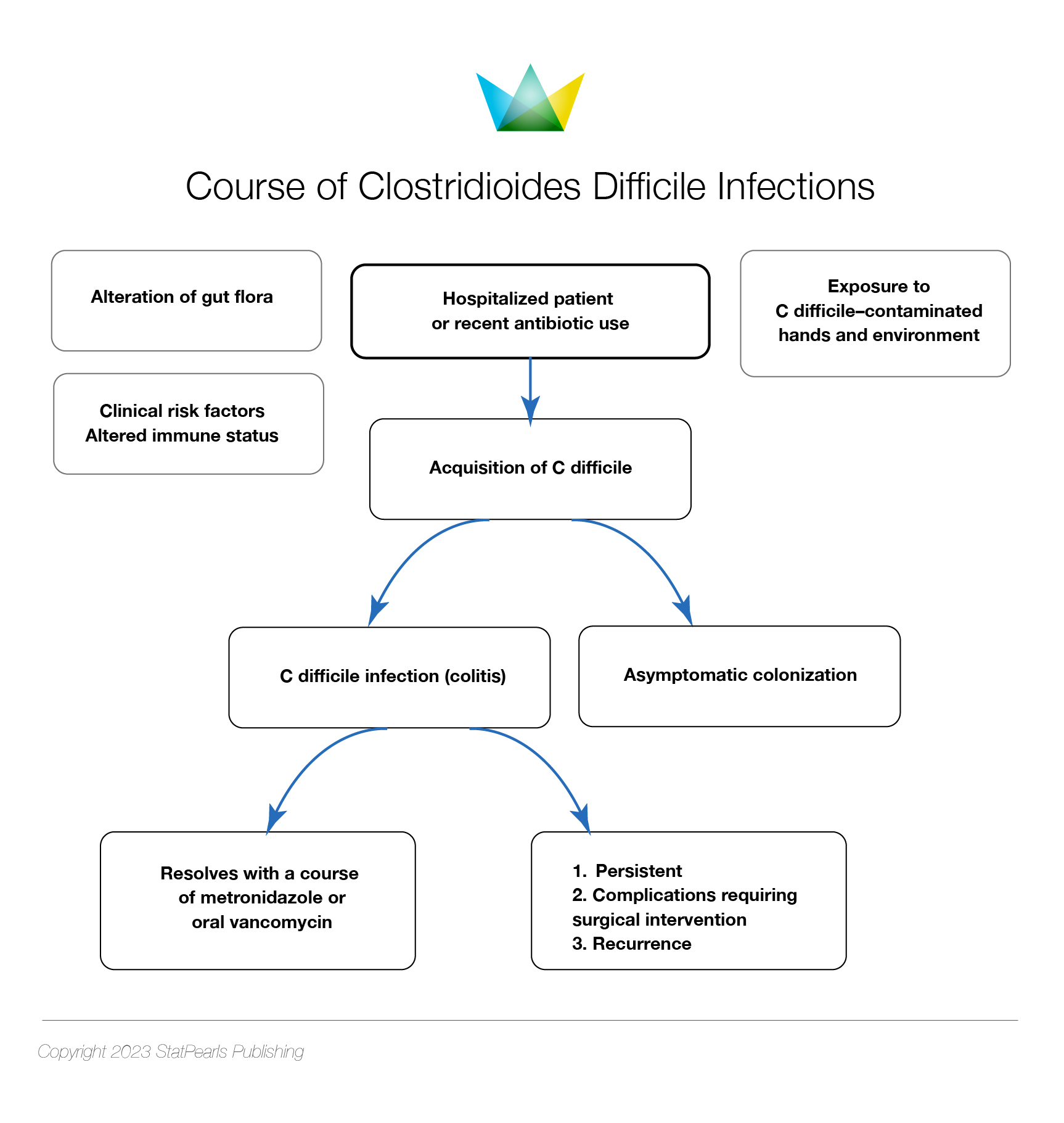 <p>Course of <em>Clostridioides difficile</em> Infections</p>