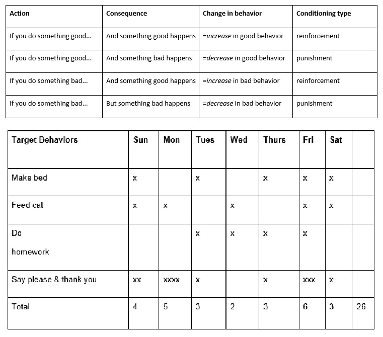 Behavior Modification Chart