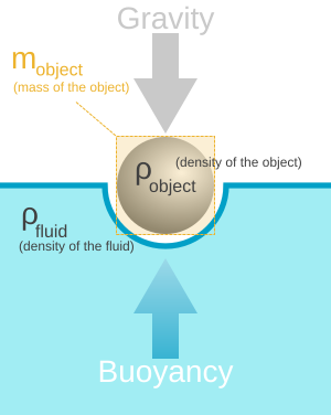 A representation of the Archimede Principle: Any given mass will displace an equal amount of its own volume in water itself