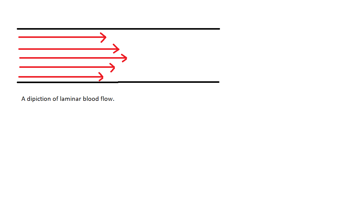 A depiction of laminar flow in a cross section of a blood vessel