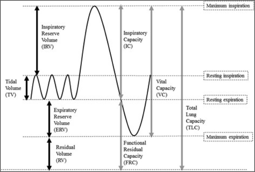 Fig. 1: Standard lung volumes and capacities (This image has not been altered)