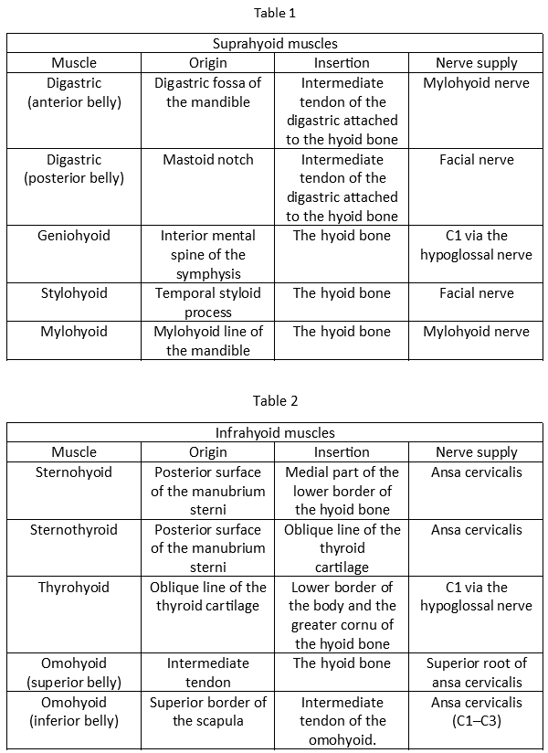 Suprahyoid Bone Muscles table and Infrahyoid Bone Muscles Tables