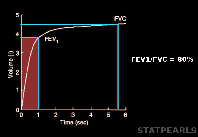 <p>Forced Expiratory Volume